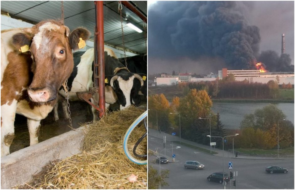 „Toksikai“, ugniagesių tyrimams, Alytaus ūkininkams – dar 1,2 mln. eurų